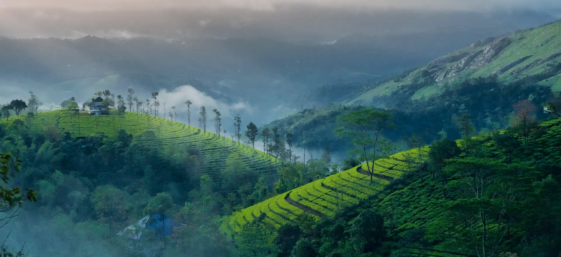 Kerala Honeymoon Tour Package: The Perfect Romantic Getaway in God’s Own Country