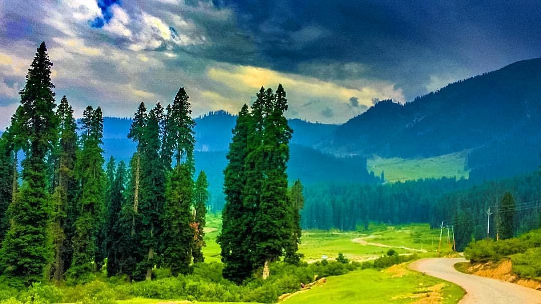 Kashmir